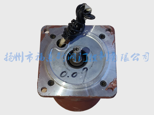 DQW電動(dòng)裝置電機(jī)