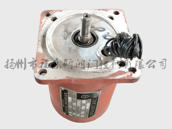 閥門(mén)電動(dòng)裝置電機(jī)